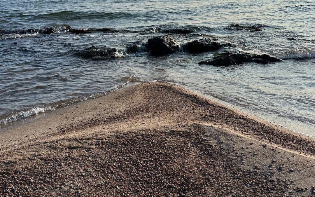 Værdier som kompas: Hvorfor det betaler sig at arbejde indefra og ud